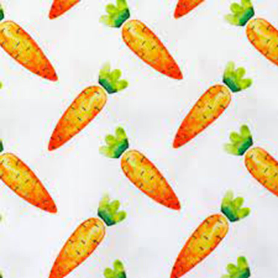 Stoffe Nähen Zauberladen Hietzing Karotte Carrot Möhre
