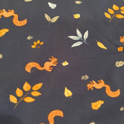 Jersey Eichhörnchen